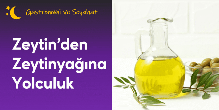 01.03.004. Zeytinden Zeytinyağına Yolculuk