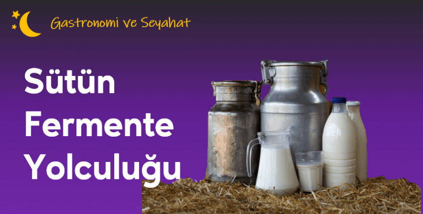 01.03.008. Sütün Fermente Yolculuğu