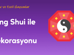 01.04.001.Feng Shui ile Ev Dekorasyonu