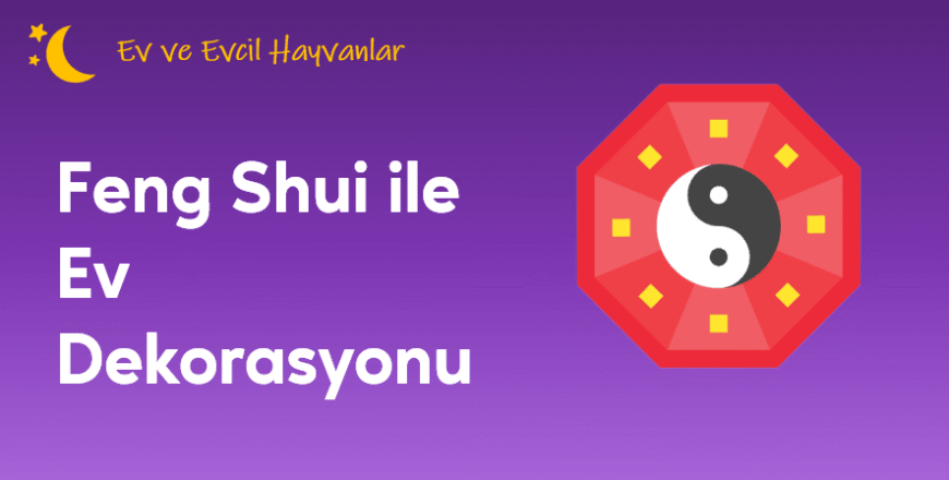 01.04.001.Feng Shui ile Ev Dekorasyonu