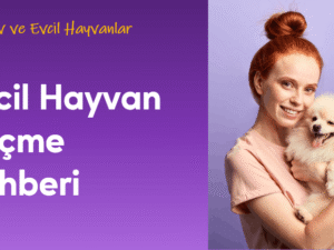 01.04.003.Evcil Hayvan Seçme Rehberi