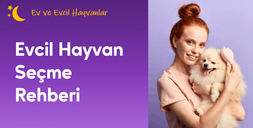 01.04.003.Evcil Hayvan Seçme Rehberi