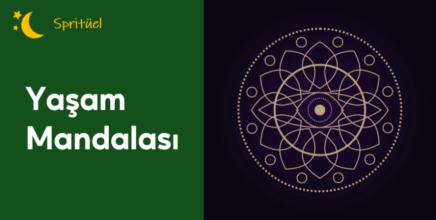03.01.001.Yaşam Mandalası