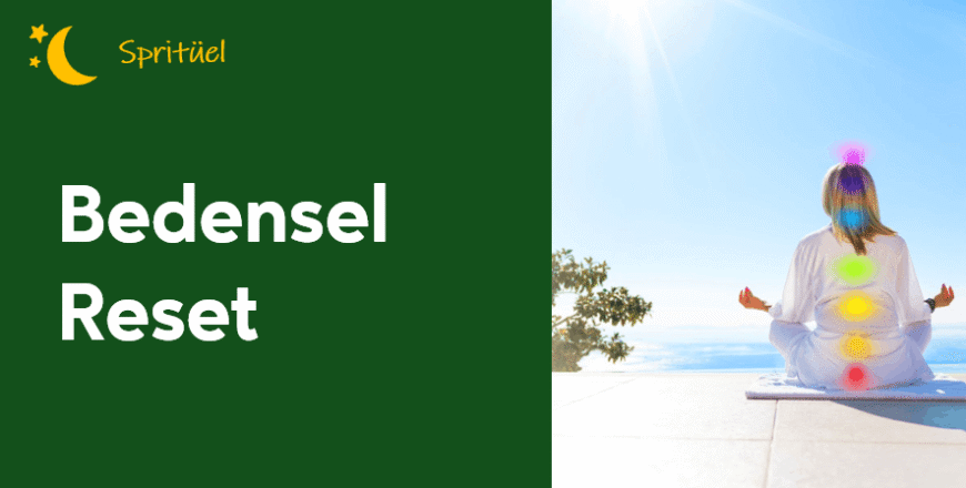 03.01.002.Bedensel Reset