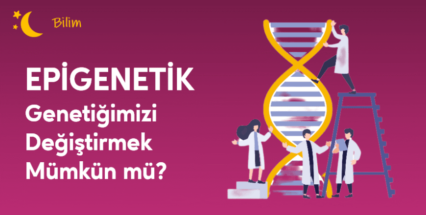 04.05.003. Epigenetik